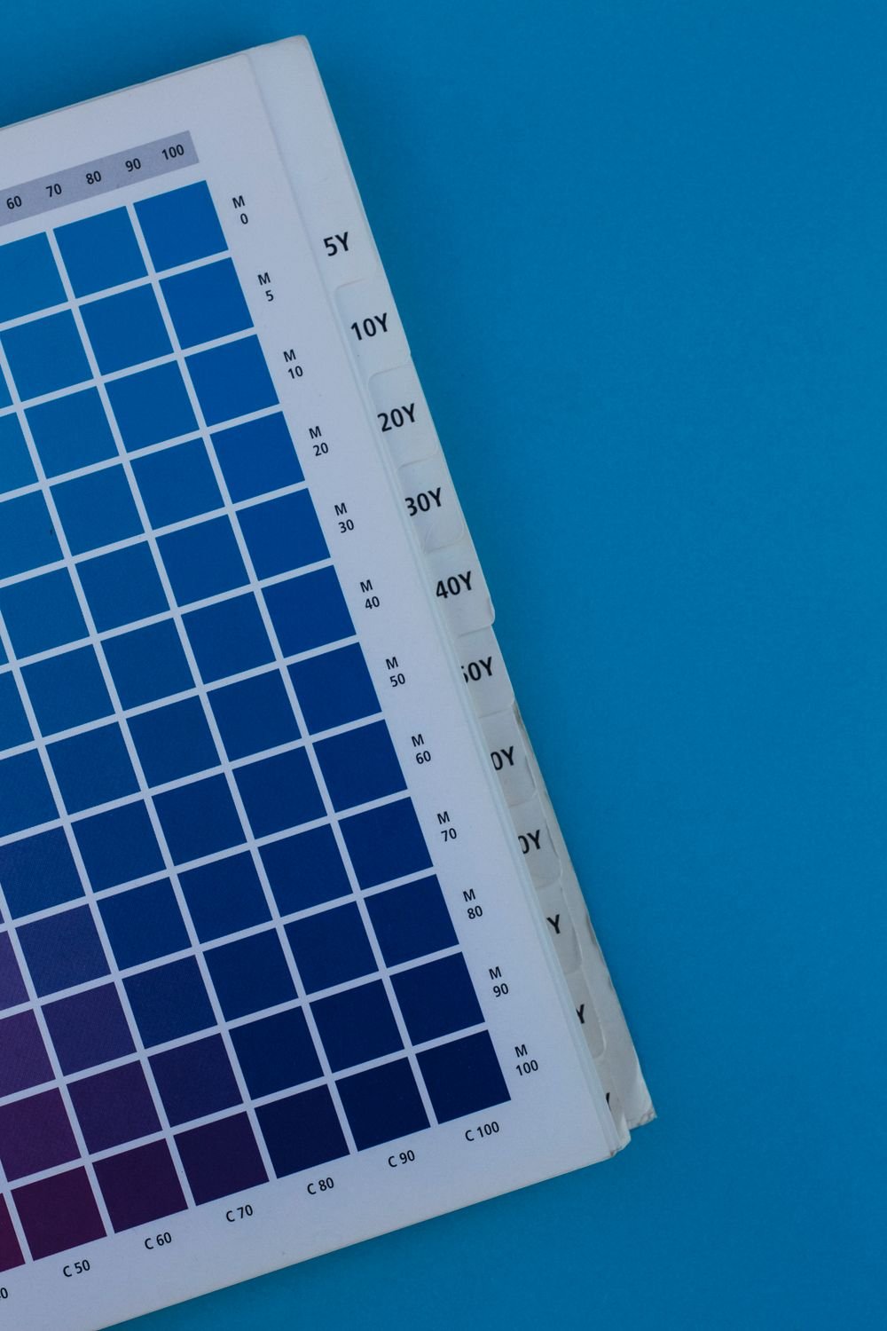 Palette de couleurs et cohérence visuelle des données produit