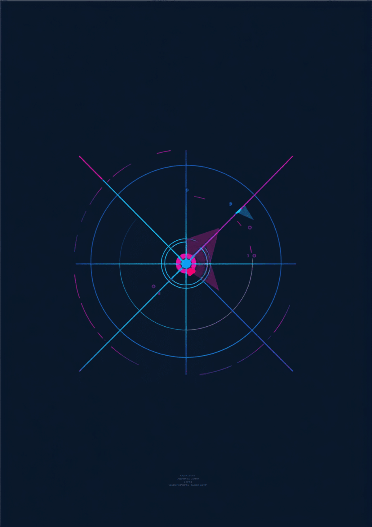 Illustration : diagnostic de maturité organisationnelle en 20 dimensions