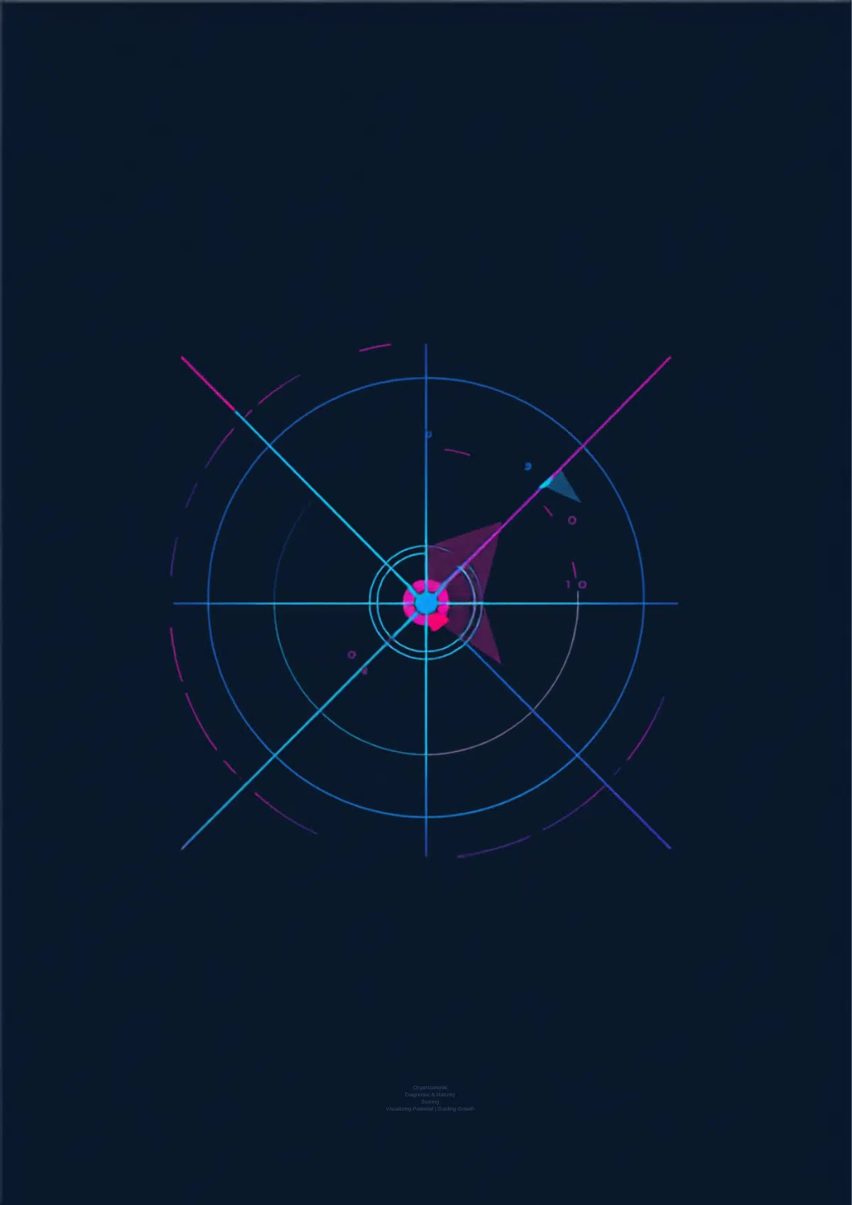 Illustration : diagnostic de maturité organisationnelle en 20 dimensions